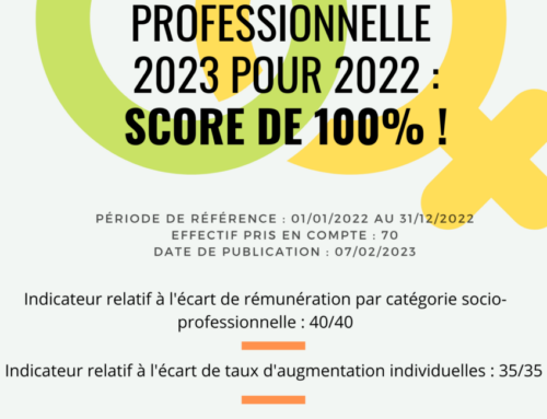 Egalité professionnelle : un score de 100% chez OPTISUN !